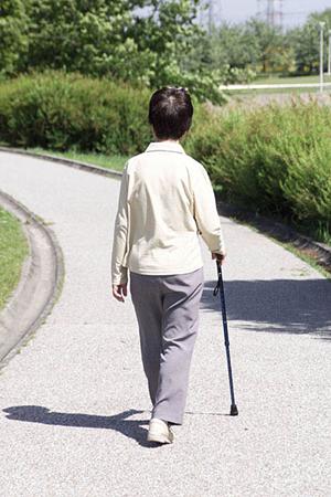 目黒区で安心・無痛の内視鏡検査を受けるなら!地域密着のおすすめ医療機関徹底ガイド