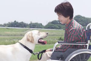 吹田市の婦人科おすすめ10選｜最新2026年版で選ぶ安心のクリニックガイド