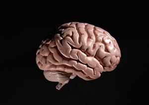 琴似の大腸内視鏡検査で人気の治療とは