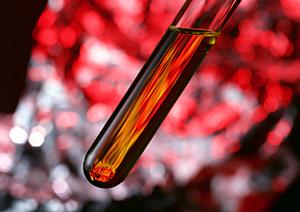 女性だからこその医療保険で安心な人生設計を